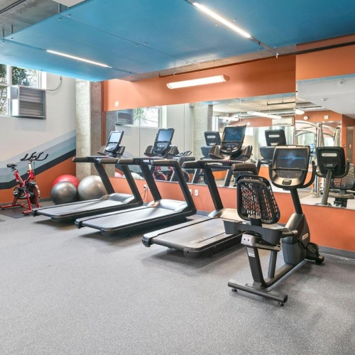 A perfect fit for the whole family a gym with exercise equipment